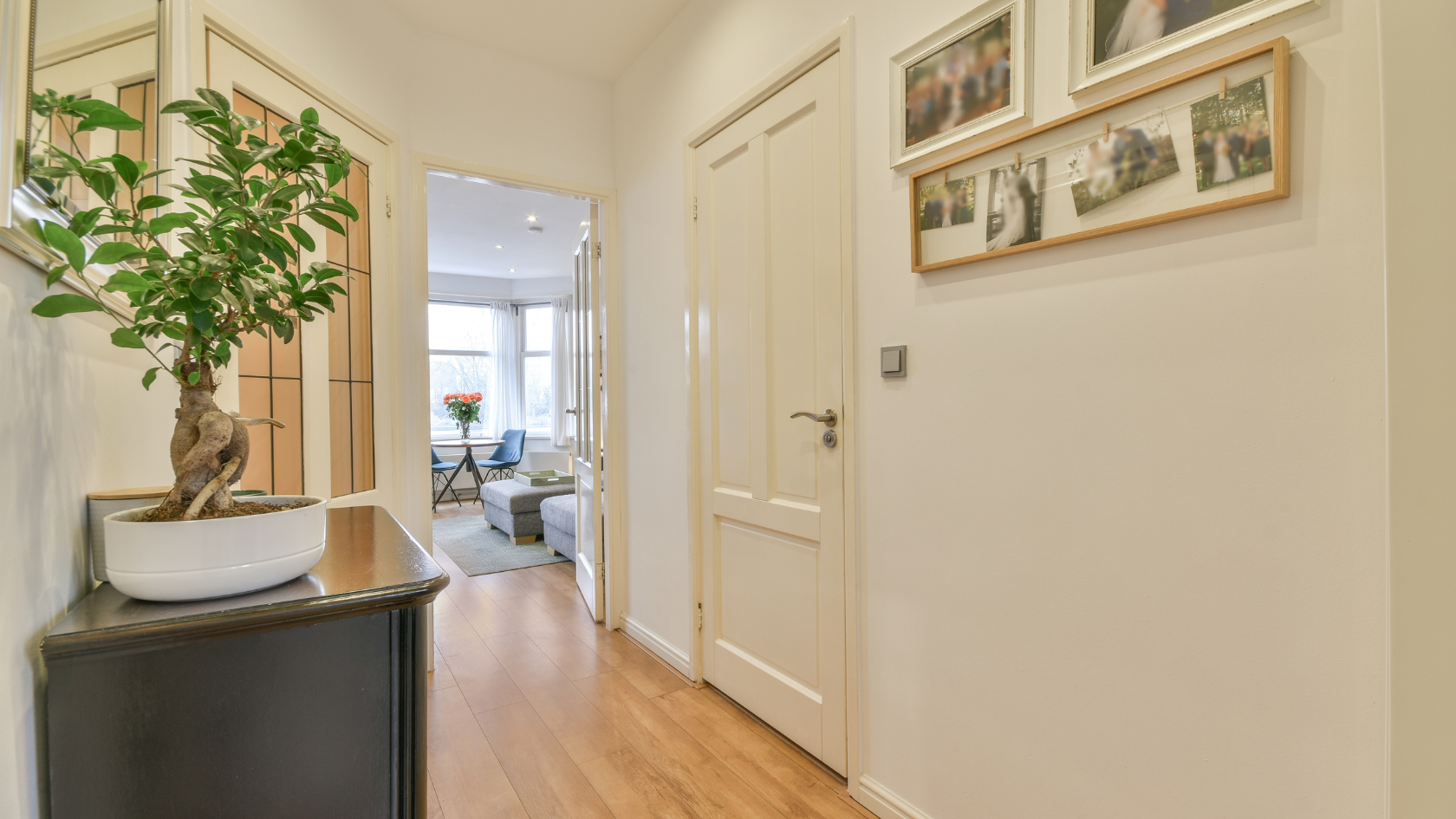 A hallway with a potted plant and pictures on the wall